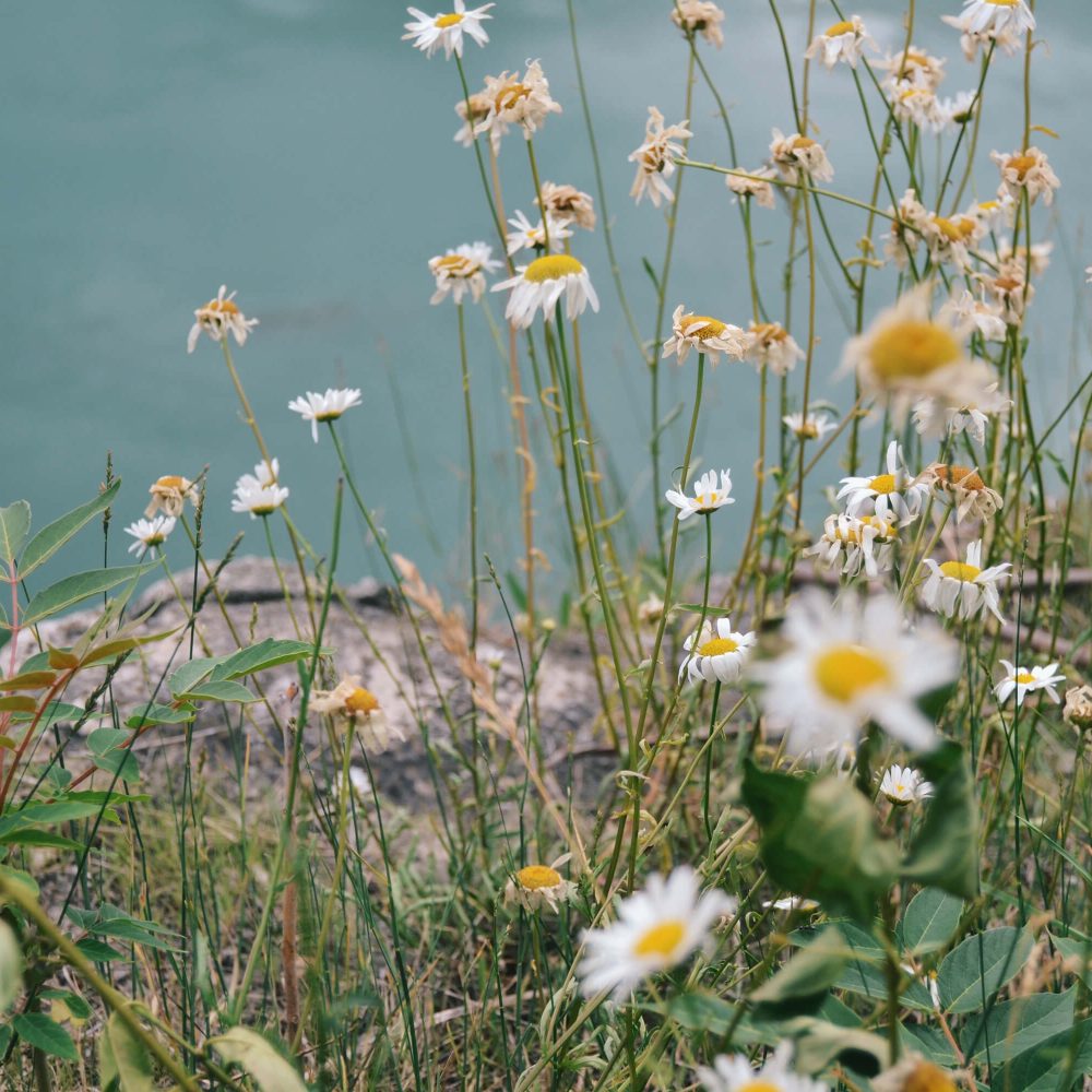 On Backorder Product